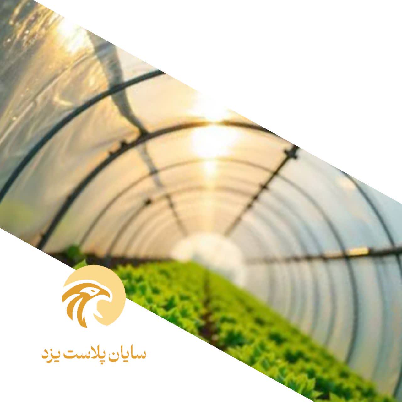 فروش نایلون گلخانه‌ ای مقاوم ویژه کشاورزان