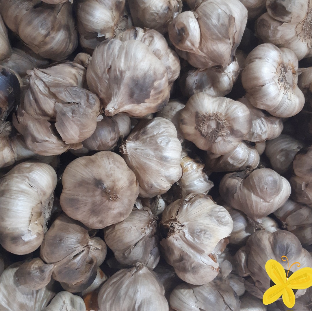 تصویر 1 از فروش سیر سیاه با کیفیت و درمانی
