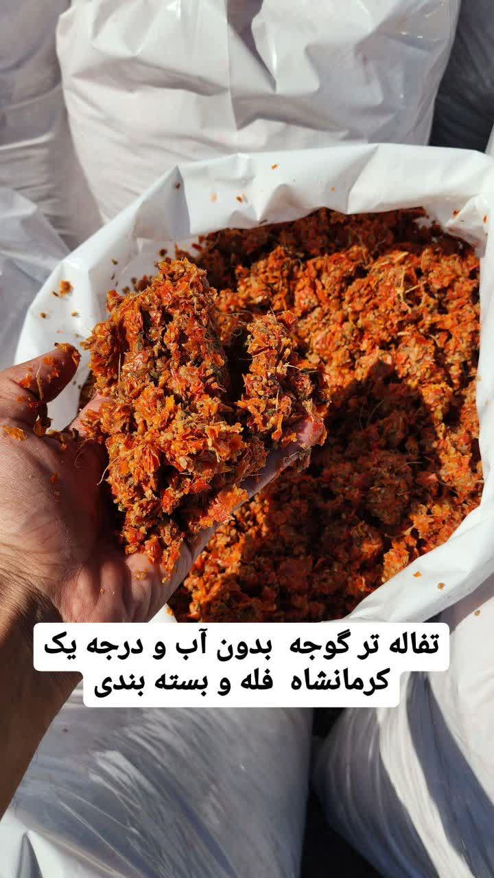 تصویر 3 از فروش تفاله گوجه کارخانه رب