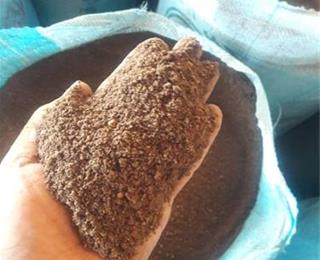 تصویر 3 از پخش تفاله خرما + فروش