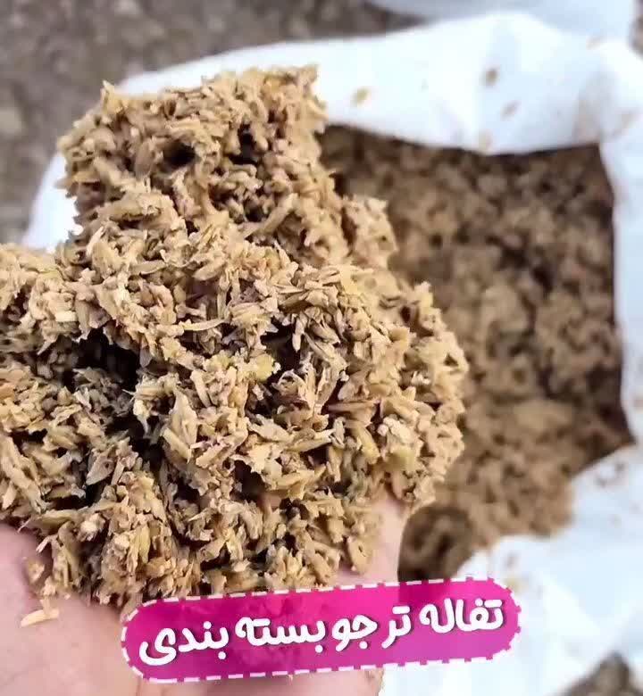 تصویر 1 از خرید مستقیم تفاله خوراک دام