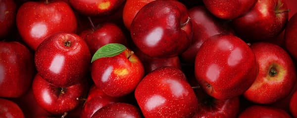 تصویر 1 از خرید و قیمت سیب قرمز مکینتاش + فروش عمده