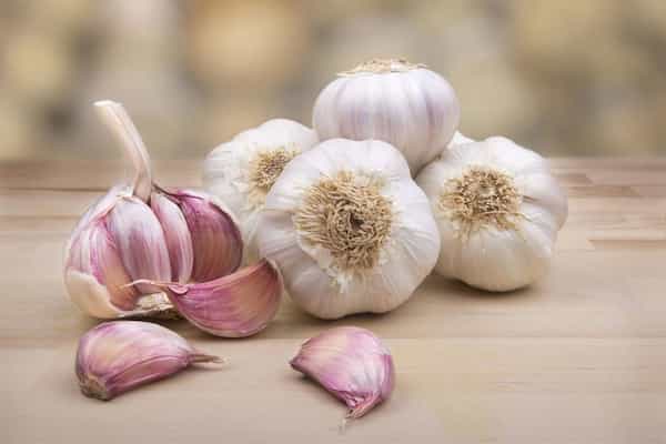 تصویر 5 از قیمت سیر خاورمیانه + خرید باور نکردنی