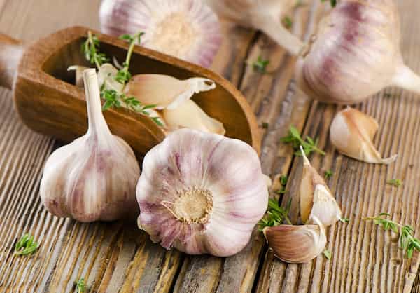 تصویر 4 از قیمت سیر خاورمیانه + خرید باور نکردنی