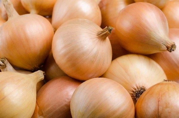 تصویر 2 از فروش پیاز زرد صادراتی