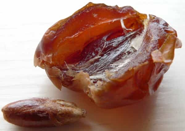 خرید و قیمت خرما زاهدی مشهد + فروش صادراتی
