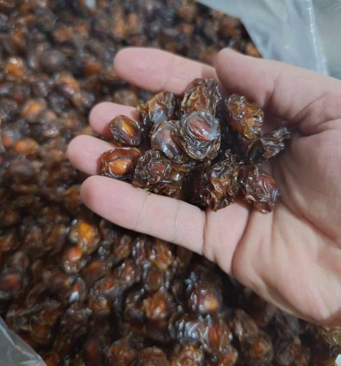 تصویر 3 از خرید و قیمت آلو بخارا خشک محلی + فروش عمده