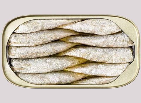 تصویر 5 از قیمت خرید تن ماهی + فروش ویژه