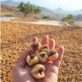 تصویر 2 از خریدانجیرباکیفیت استهبان + باقیمتی باورنکردنی