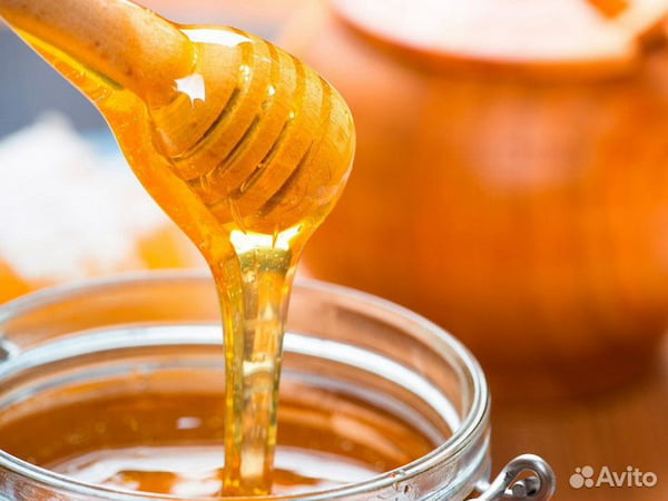 تصویر 4 از خرید نقدی عسل گون + تخفیف ویژه