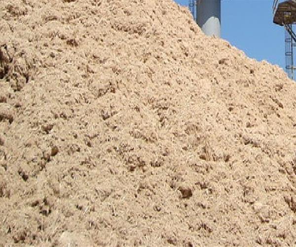 تصویر 3 از فروش عمده  تفاله پودر شده نیشکر