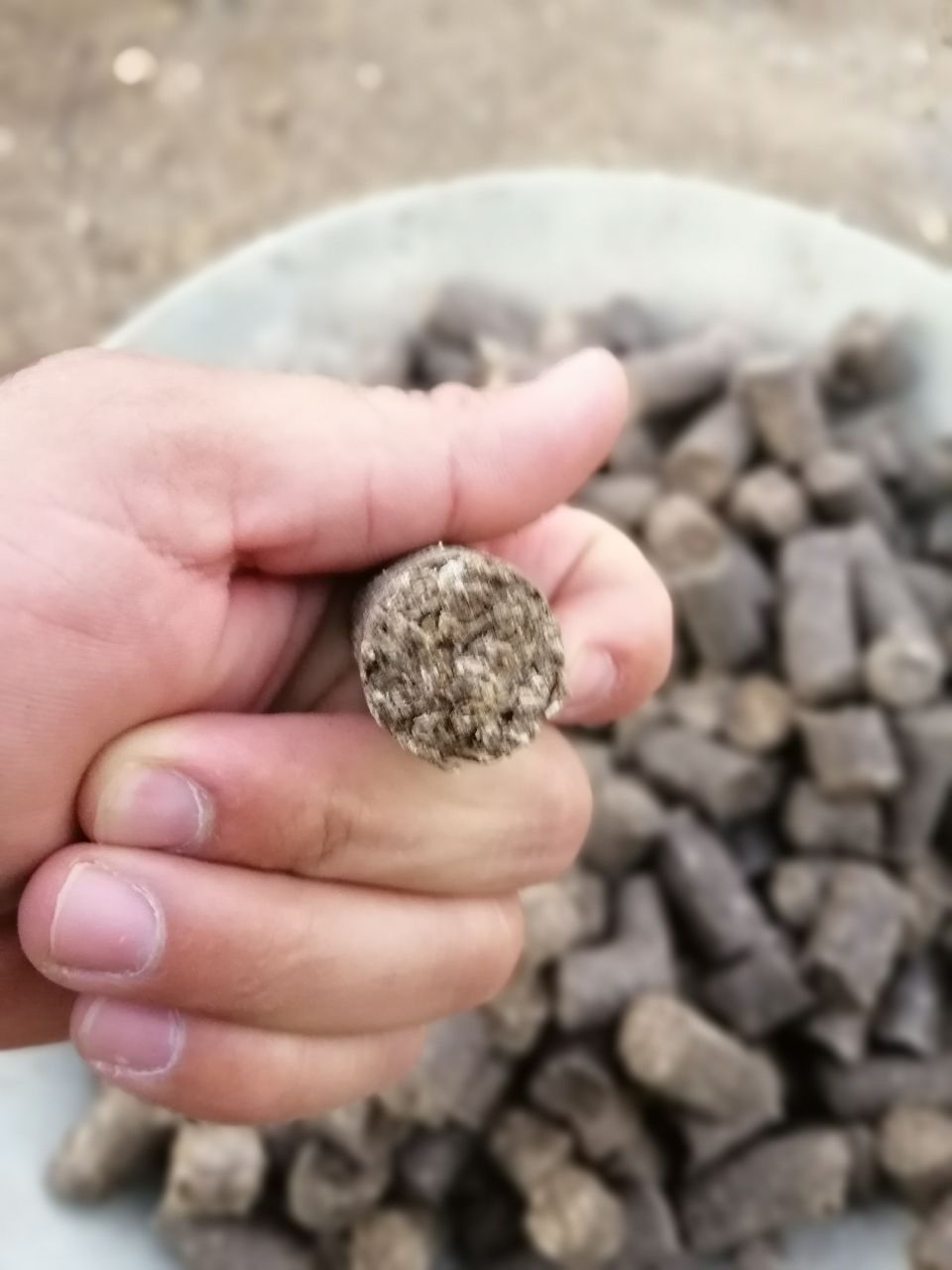 تصویر 2 از خرید عمده تفاله خشک چغندر قند