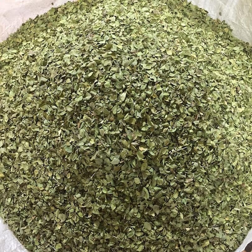 تصویر 4 از خرید و فروش عمده آویشن شیرازی برگ با کیفیت صادراتی