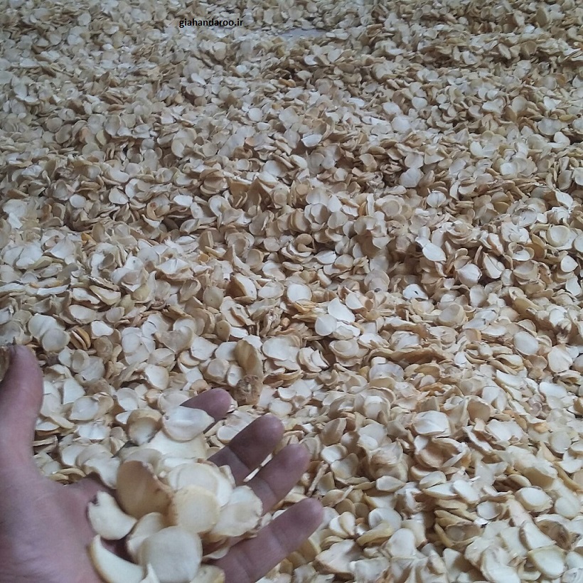 تصویر 5 از خرید و فروش عمده اسلایس موسیر خشک