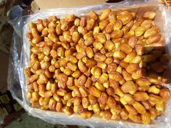 تصویر 5 از فروش خرما زاهدی تازه + قیمت خرید به صرفه