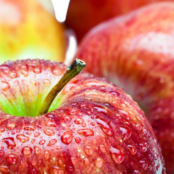 تصویر 1 از خرید و قیمت سیب گلاب + فروش عمده