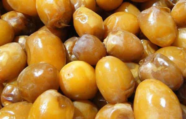 تصویر 5 از خرید خرما زاهدی عسلی + قیمت فروش استثنایی