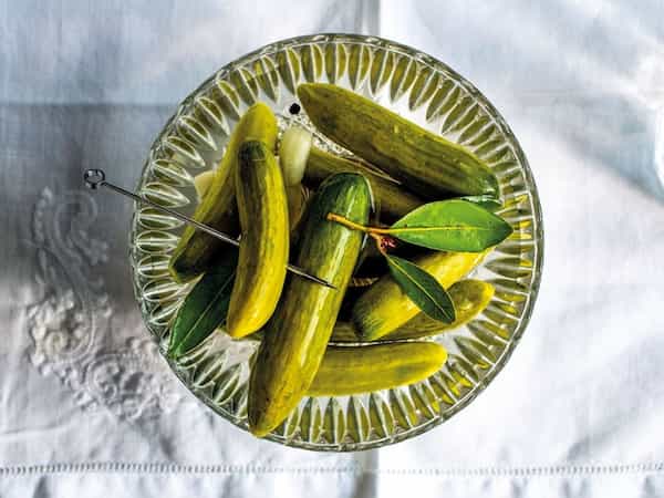 تصویر 5 از فروش خیارشور ویژه شیروان + ارزان و مقرون به صرفه