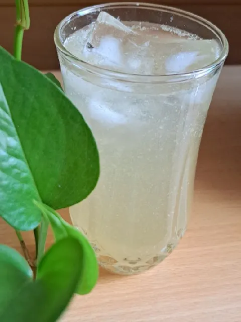 تصویر 2 از فروش ویژه شربت کاسنی یک لیتری + خرید آسان