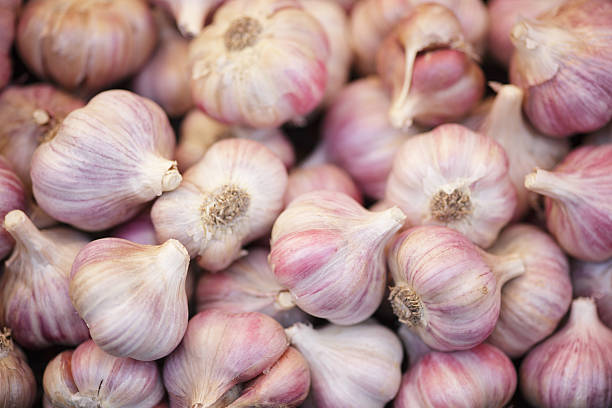 تصویر 1 از خرید و قیمت سیر صادراتی خشک شده + فروش عمده
