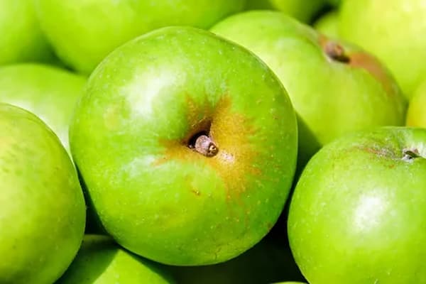 تصویر 3 از خرید و قیمت سیب فرانسوی سبز  + فروش عمده