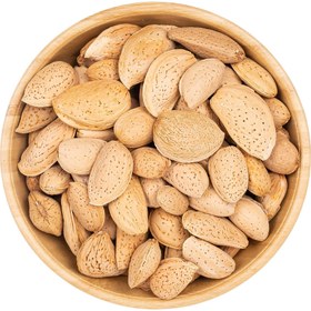 تصویر 4 از فروش بادام سنگی تلخ +  خرید به صرفه