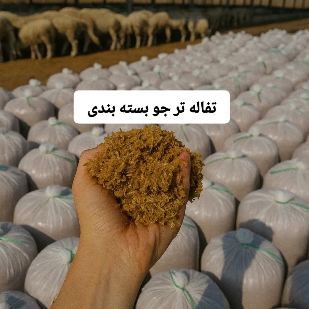 تصویر 2 از فروش عمده تفاله جو اصفهان