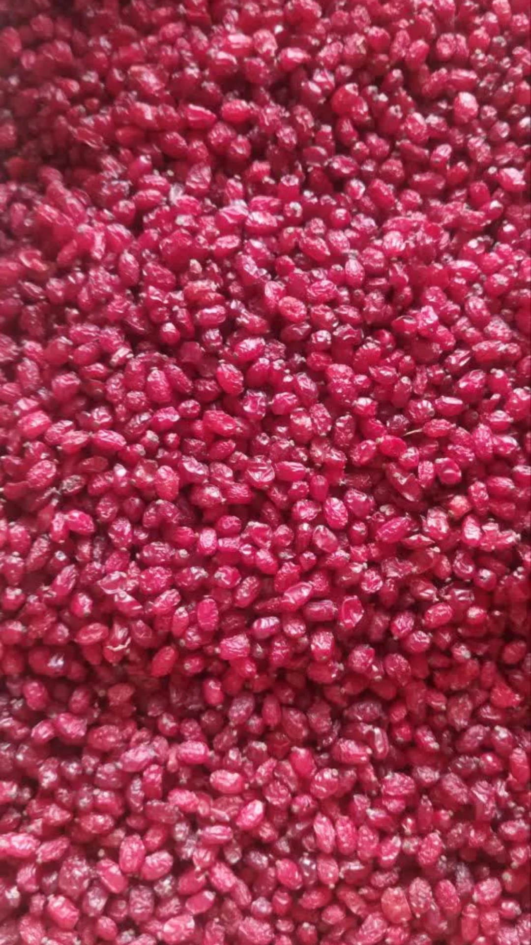 زرشک پفکی اعلا + قيمت استسنائی