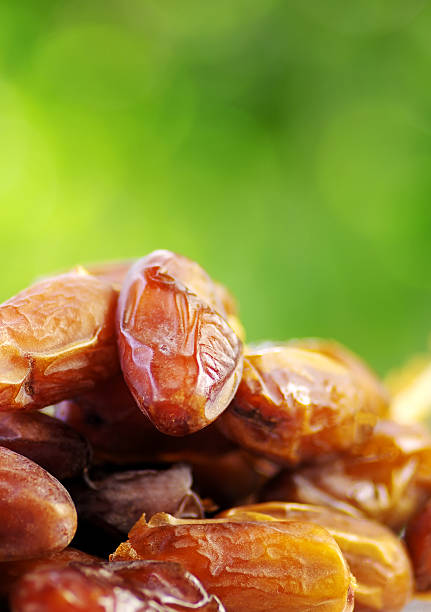 تصویر 5 از خرید و قیمت خرما تازه زاهدی + فروش عمده