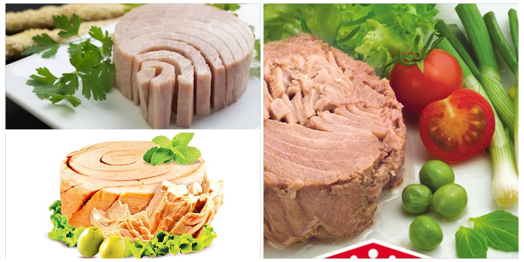 انواع تن ماهی