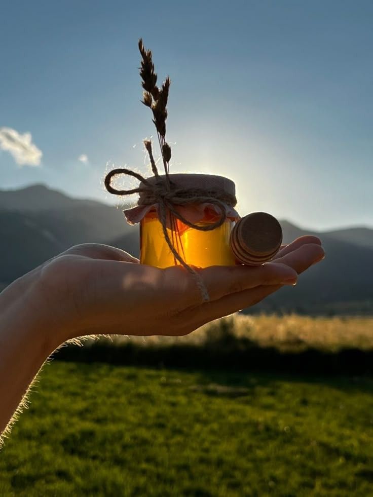 خرید عسل زنیان کوهی هانی سان + خرید عمده