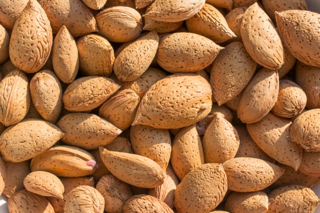 تصویر 1 از قیمت خرید بادام کوهی تلخ + الوک