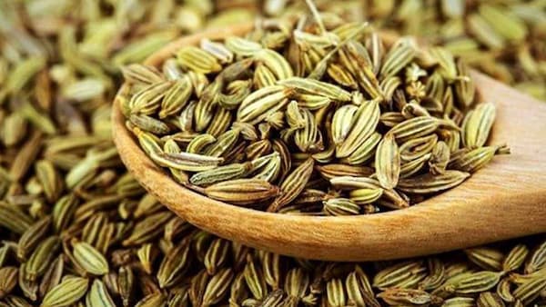 تصویر 2 از خرید و قیمت زیره سبز + فروش عمده
