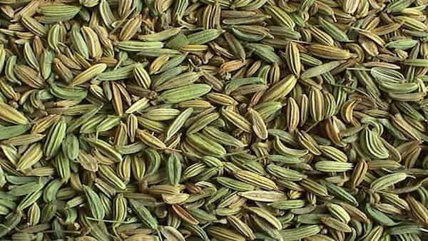 تصویر 1 از خرید و قیمت زیره سبز + فروش عمده