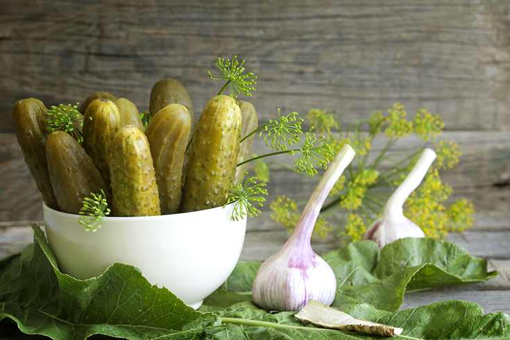 تصویر 1 از خرید و قیمت خیار شور بدون برندمحلی + فروش عمده