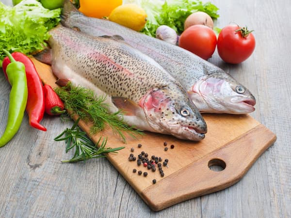 تصویر 4 از خرید و قیمت تن ماهی در روغن زیتون + فروش عمده