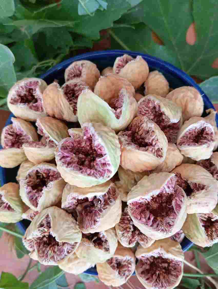 فروش عمده و جزئی انجیر خشک استهبان صادراتی
