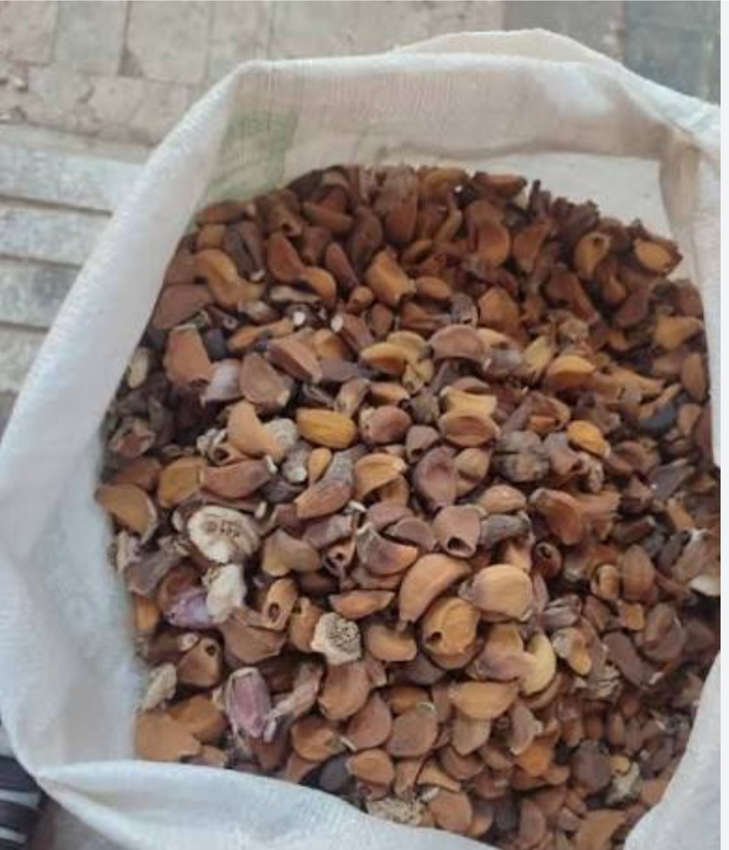 تصویر 1 از فروش سیر خشک عمده