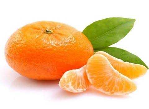 تصویر 2 از نارنگی ژاپنی + قیمت استثنایی