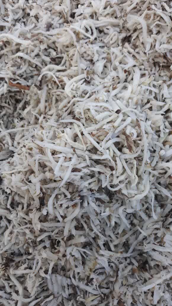 تصویر 2 از خرید تفاله پرک چغندر