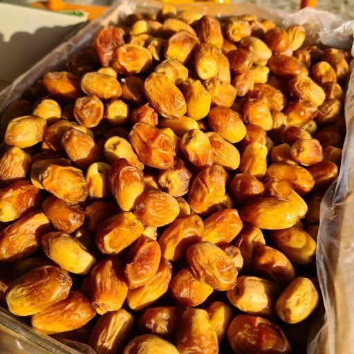 تصویر 1 از خرما زاهدی شیراز با طعم غنی
