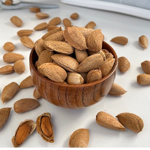 تصویر 1 از بادام ربیع ممتاز + خرید استثنایی