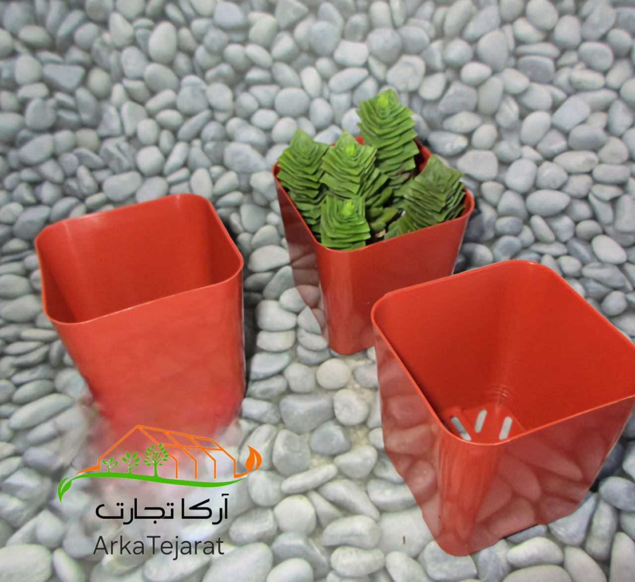 تصویر 4 از خرید گلدان پلاستیکی کوچک با فروش ویژه + قیمت استثنایی