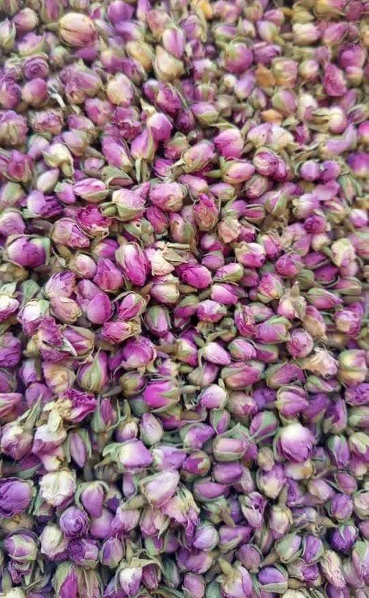 تصویر 1 از فروش عمده غنچه گل محمدی داراب شیراز