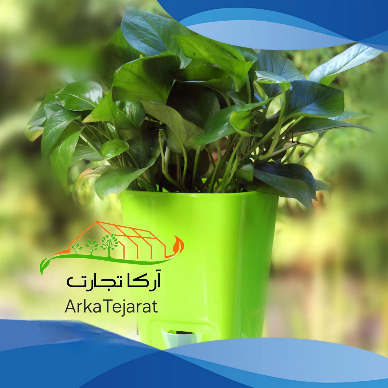 تصویر 4 از خرید انواع گلدان پلاستیکی مربعی با بهترین قیمت بازار