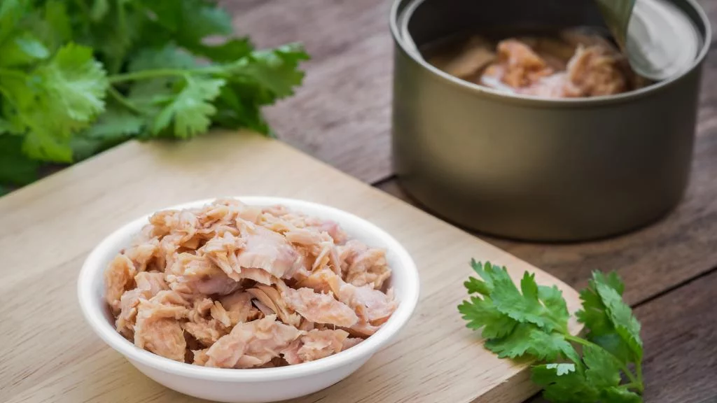 تصویر 2 از فروش فوری کنسرو تن ماهی ۱۸۰ گرمی + خرید بدون واسطه