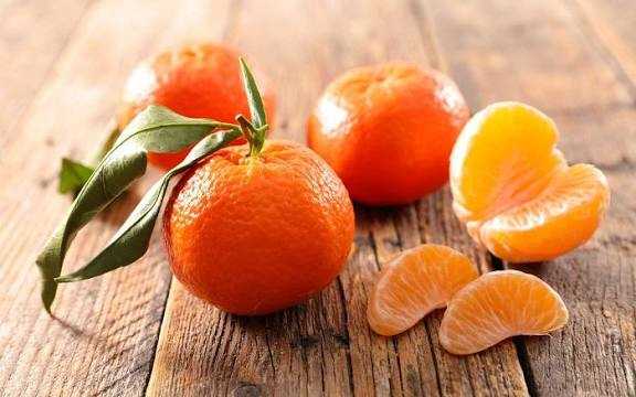 تصویر 5 از نارنگی یافا + قیمت استثنائی