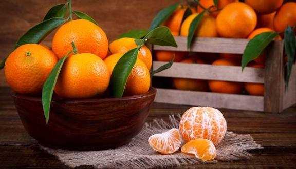 تصویر 2 از نارنگی یافا + قیمت استثنائی
