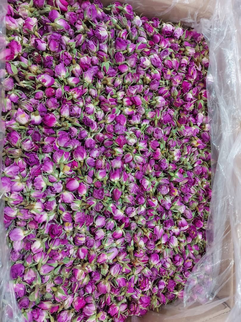 تصویر 1 از فروش عمده غنچه گل محمدی خشک فله