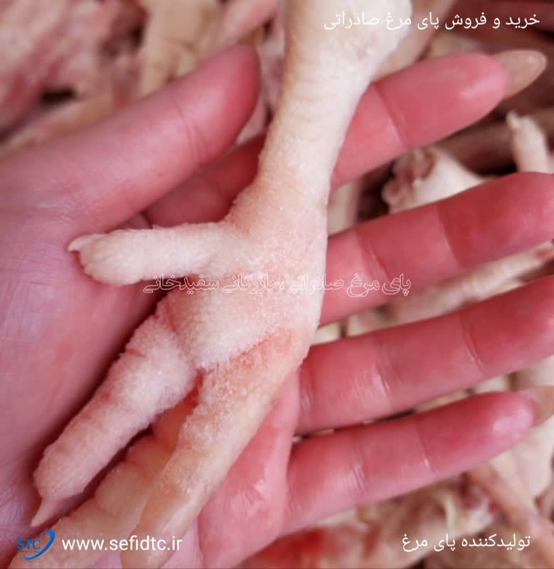 فروش پای مرغ عمده